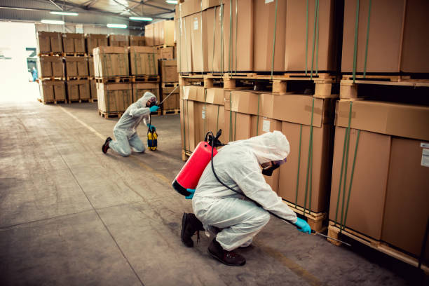Best Best Pest Control Companies  in Lawtey, FL