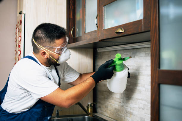 Professional Pest Control in Lawtey, FL