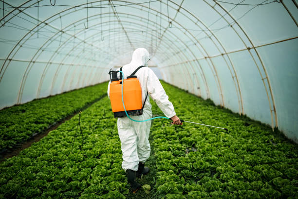 Best Pest Control Near Me in Lawtey, FL