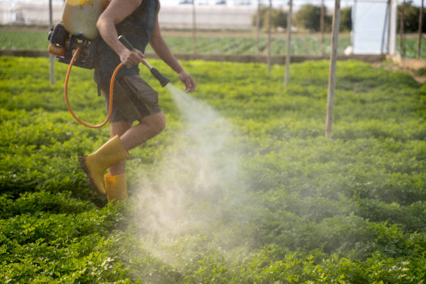 Best Affordable Pest Control Services  in Lawtey, FL