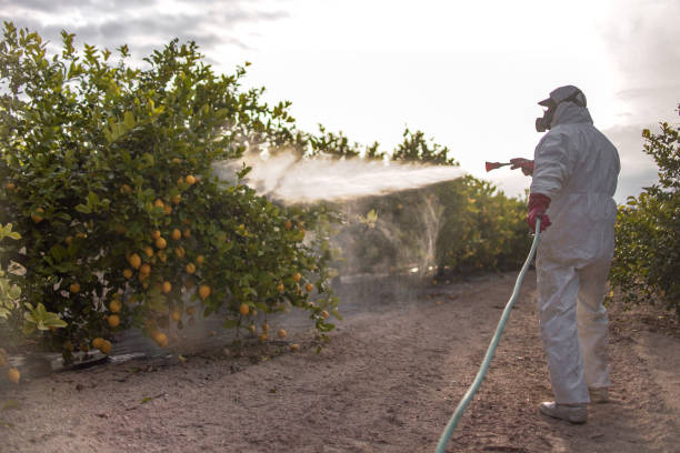 Best Mosquito Control Services  in Lawtey, FL