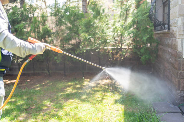 Best Pest Inspection Near Me  in Lawtey, FL