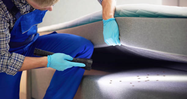 Best Wasp Removal Services  in Lawtey, FL
