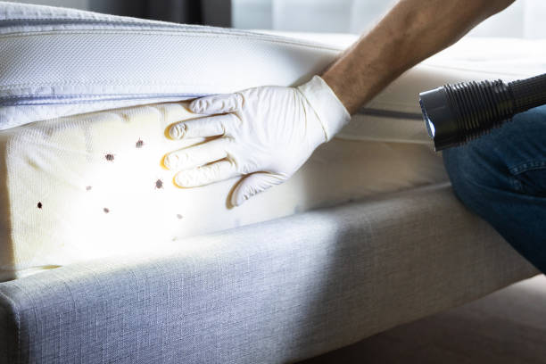 Best Commercial Pest Control Services  in Lawtey, FL