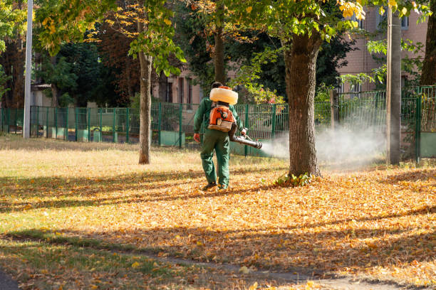 Best Rat Extermination Near Me  in Lawtey, FL